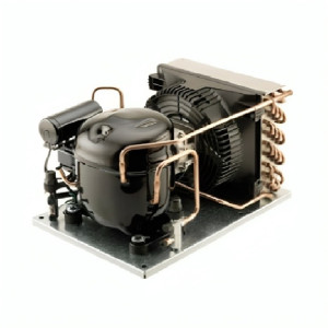 Tecumseh Aggregat CAE 4448YHR