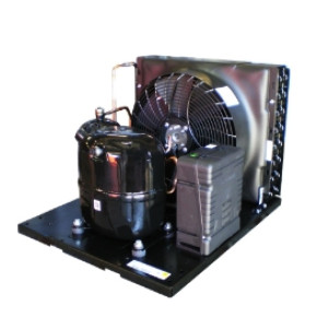 Tecumseh Aggregat CAJ...