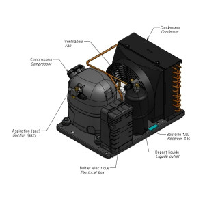 Tecumseh Aggregat CAJ...